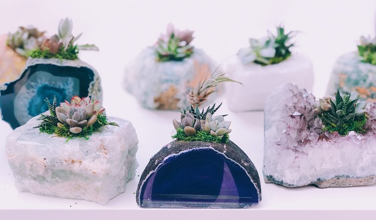 kristali in rastline