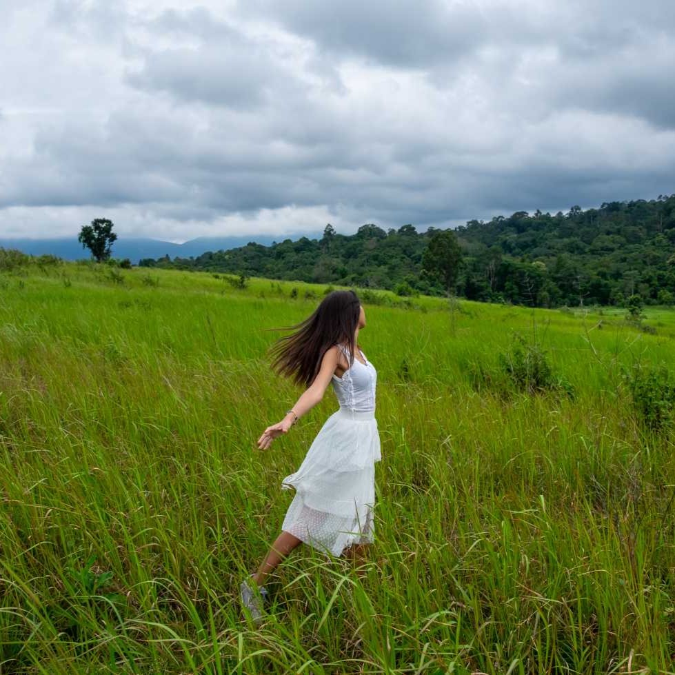 energijsko čiščenje