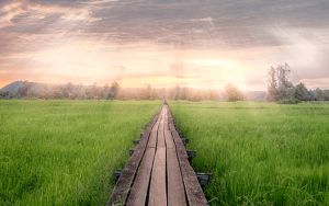 Življenjska pot kot simbol osebnega razvoja, poslanstva in notranje smeri