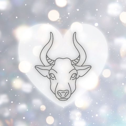 ljubezensko ujemanje bika