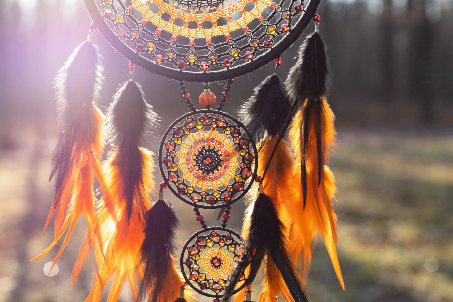 oranžni lovilec sanj v naravi